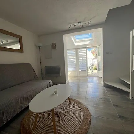 Duplex Confortable A Marseillan-plage Avec Veranda - Fr-1-387-217