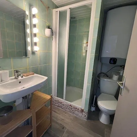 Duplex Confortable A Marseillan-plage Avec Veranda - Fr-1-387-217